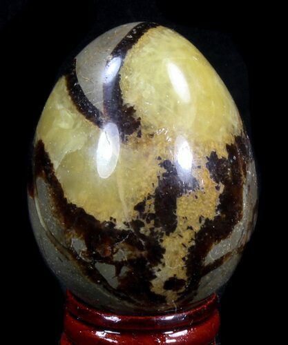 Polished Septarian Egg #41795